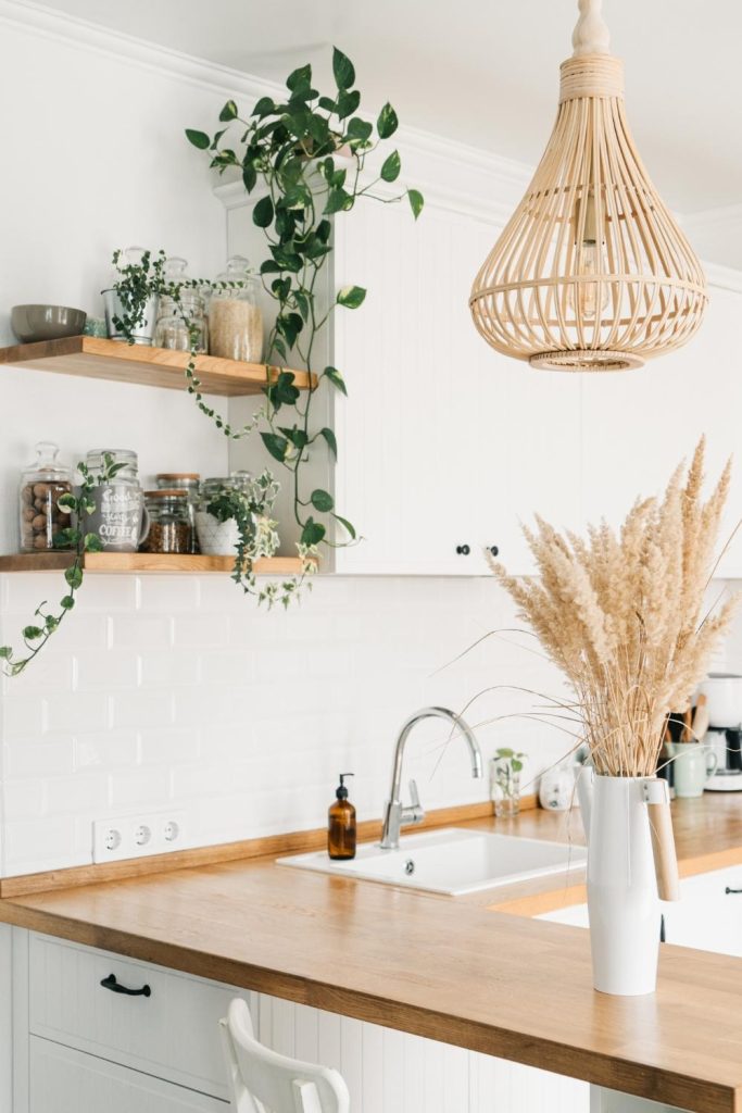 Plant Paradise | Small Kitchen Layouts | small kitchen design | tiny kitchen ideas | mini kitchen ideas