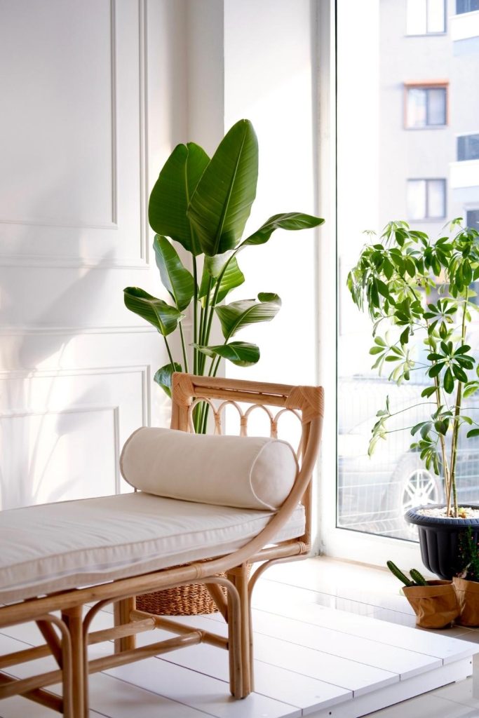 The Power of Natural Light & Layout